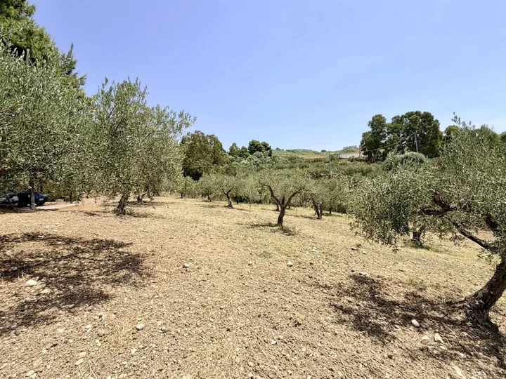 Villa Florinda: fotografia dell’agenzia 42