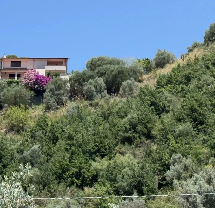 Villa Nancy: fotografia dell’agenzia 44