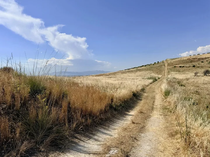 Plot Romolo: fotografia dell’agenzia 6