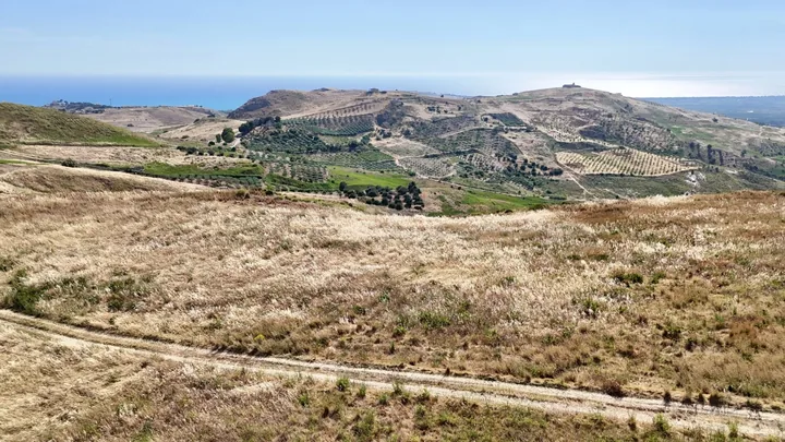 Plot Romolo: fotografia dell’agenzia 2