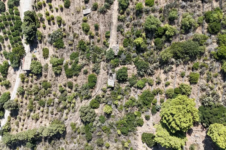 Villetta Ippocampo: fotografia dell’agenzia 26