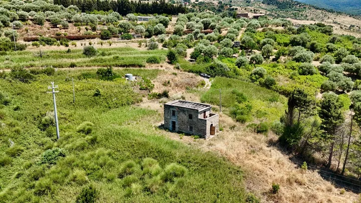 Casa Max: fotografia dell’agenzia 4